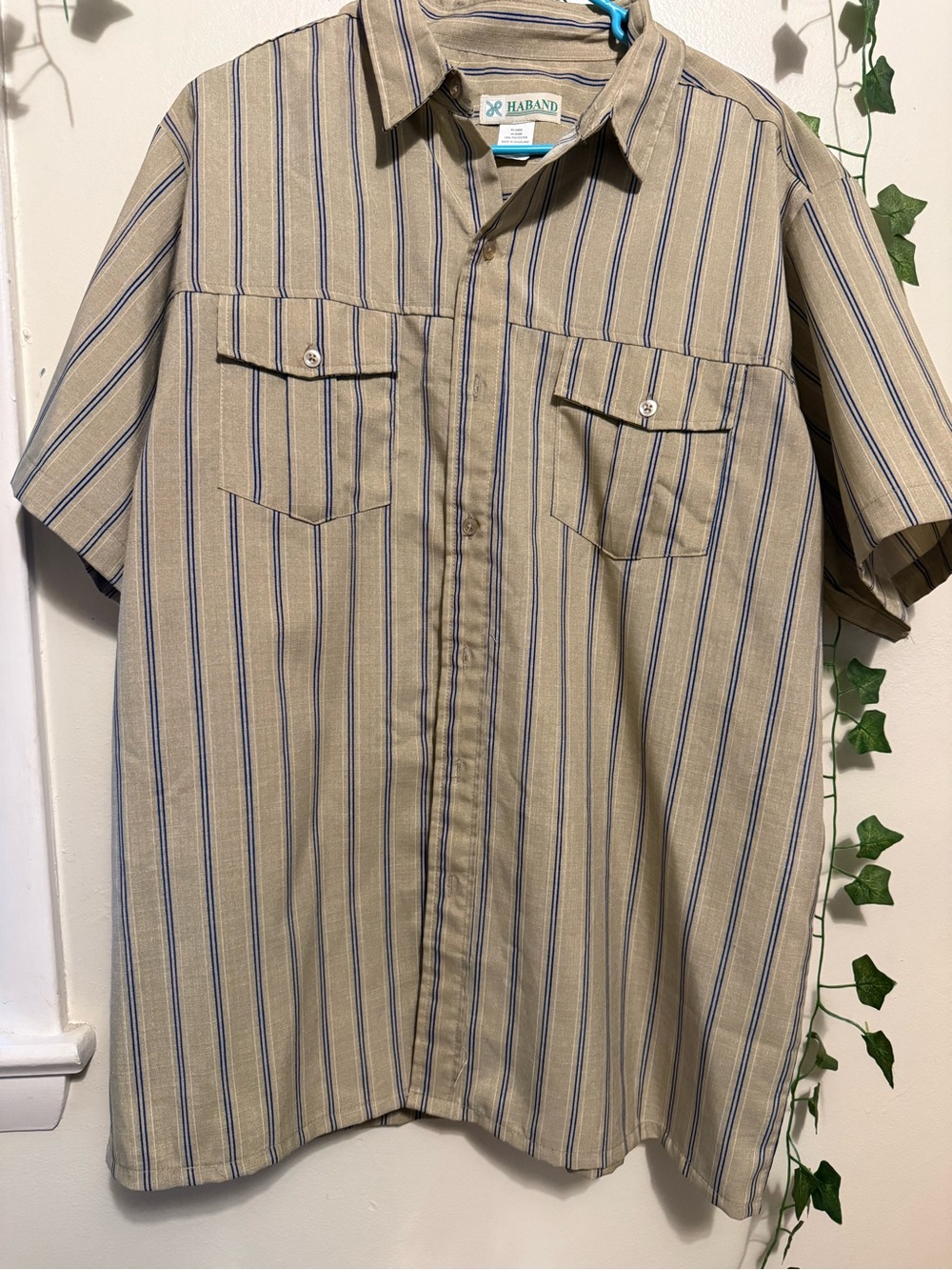Haband Tan Button-Up Short Sleeve Shirt with Blue Stripe